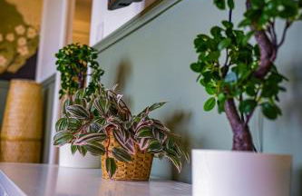 Le Jardin Suspendu - Foto 5