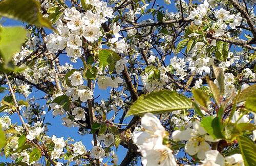 Podere La Vigna Locazione Turistica - Photo 37