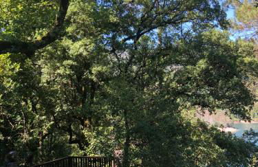 Sobreiro Valley - Casa Firmino - Foto 37