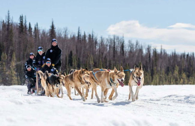 Paseo en trineo de perros husky en invierno - Foto 6