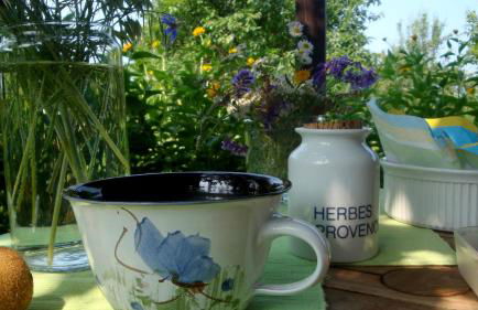 JANISCHs Fewo im Spreewald, Terrasse, großer Garten und Blick inklusive - Foto 38