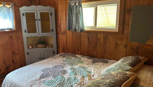 Adirondack Waterfront Cabin Upper Hudson Tributary - Foto 2