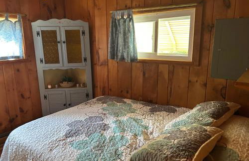 Adirondack Waterfront Cabin Upper Hudson Tributary - Foto 2