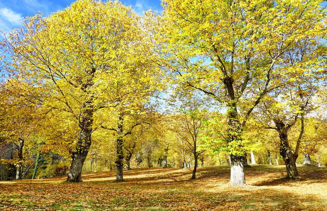 Agriturismo Bio I Rondinelli - Foto 45