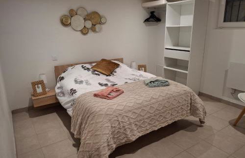 Les châtillonnes 25 minutes du zoo de beauval - Foto 30