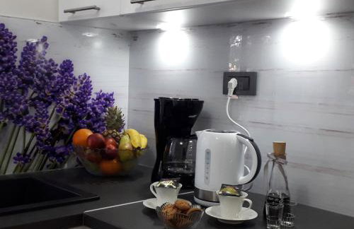 Apartment Karla SNB - Photo 22