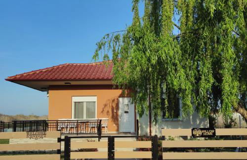 Willow Home - Photo 1