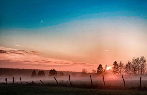 Traumfabrik Eifel mit Sauna & Whirlpool - Foto 63