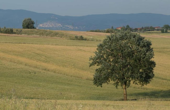 Holiday Home in Cortona With Pool - Foto 28