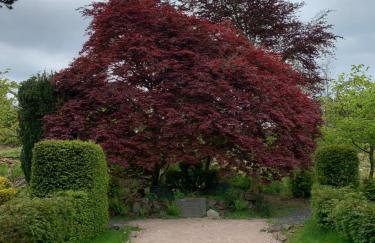 Tawny Owl Pod with Hot Tub - Foto 59
