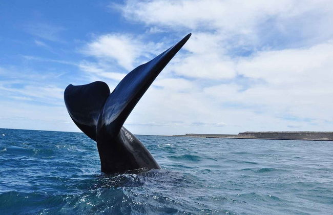 Cabañas Las Brisas - Photo 40