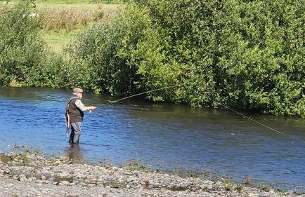 Pod3 - Powys River Pods - Pet Friendly Glamping Pod Builth Wells Powys Wales - Foto 32