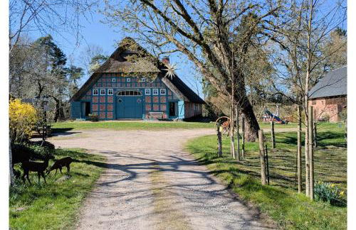 Ferienwohnung - De Deelstuuv - Foto 1