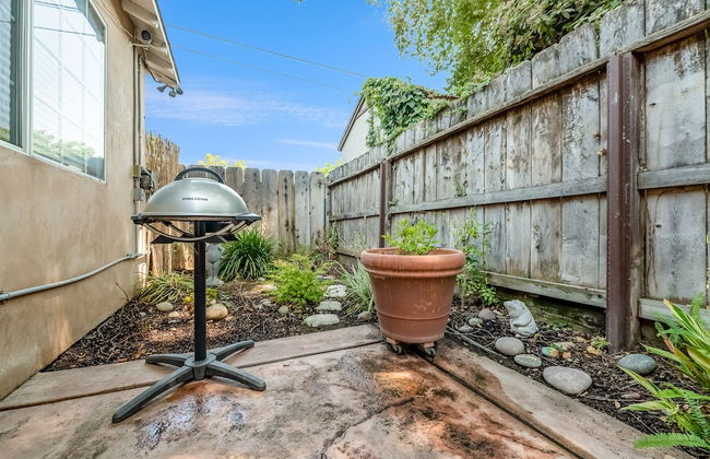 Sequoia Park CA Coast Wineries Skiing-All Day Trips from Comfy Apt - Foto 26