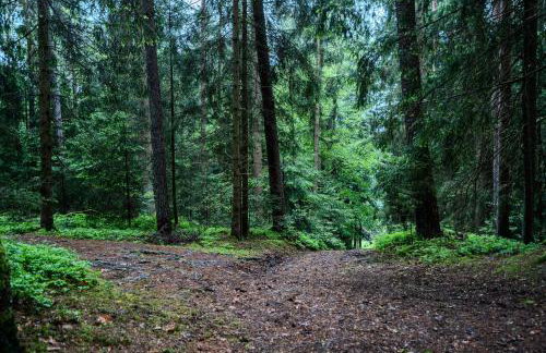 Wandern im Bayernwald - Foto 28