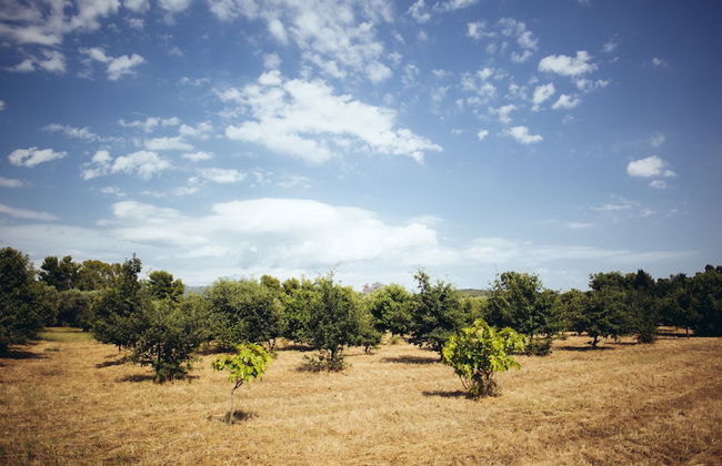 Su Leunaxiu - Foto 64