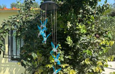 ΚΛΕΟΠΑΤΡΑ - Foto 7