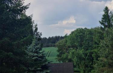 Domek nad Stawem - Foto 5