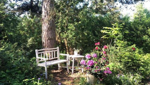 Ferienwohnung Kiefer - Ruheoase mitten im Grünen - Foto 4, Garden