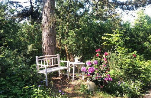 Ferienwohnung Kiefer - Ruheoase mitten im Grünen - Foto 4