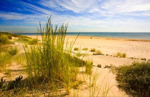 Che Loft! Artes y Ciencias - Photo 11