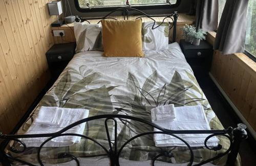 The Green Bus and the lodge - Foto 9