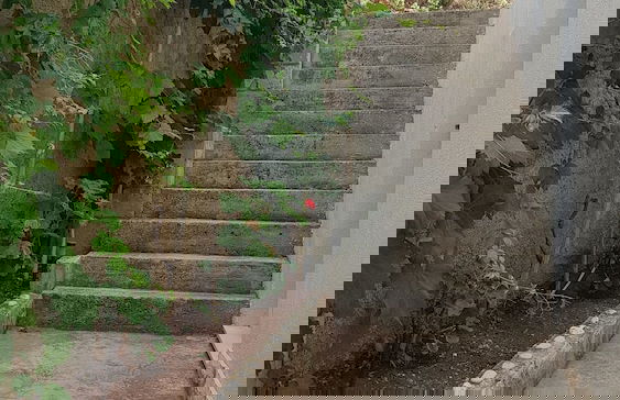 Apartments Teo i Ivana - Foto 42