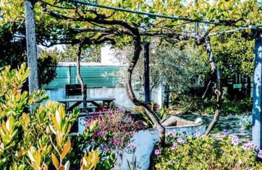 Páteo memória, casa do beco - Foto 22