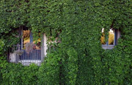 Parco Statella - Foto 16