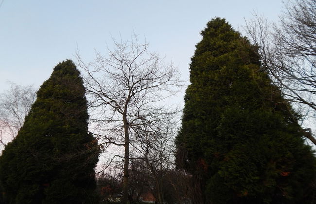 Cherry Palace 3 BD Parking Spaces groups - Foto 47