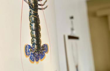 Bisquine et Reder Mor - Foto 40