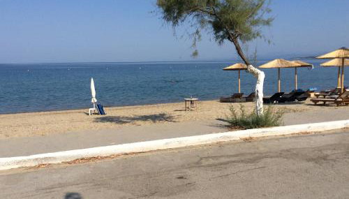 Paradise Blue - Foto 4