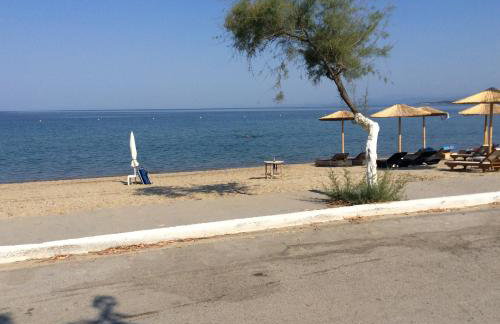 Paradise Blue - Foto 4