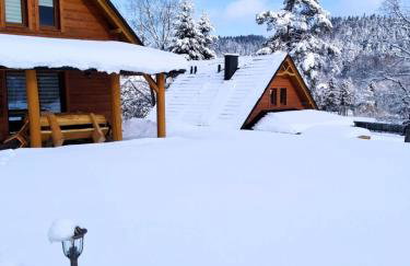 Bieszczadzkie Dworki - Foto 69