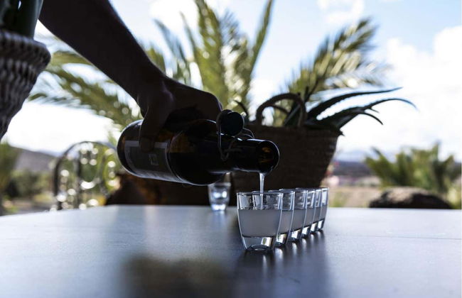 Aloe Vera Farm Tour - Foto 2