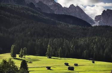 Villa Lucia appartamento Fiore - Photo 11