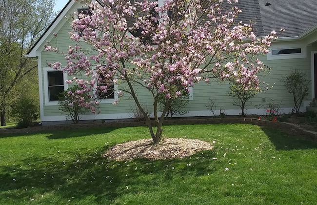 Montrose Farms Alpaca Ranch - Foto 23