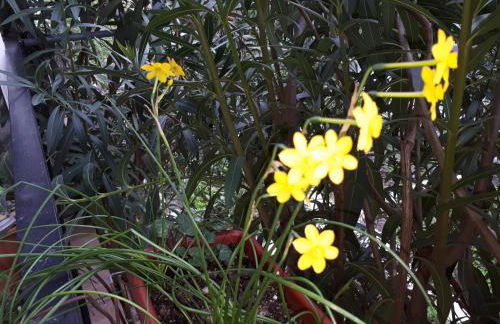 LUXURIOUS APPARTMENTS KATERINA - Foto 51