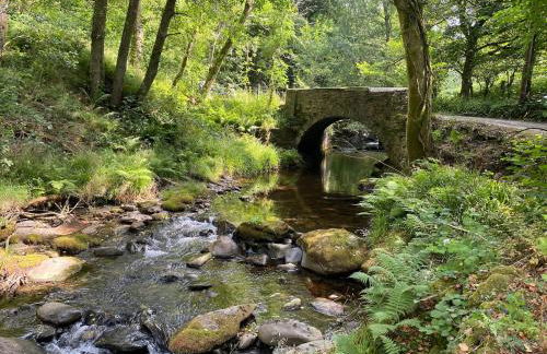 Cuckoo Cabin, Tyn Y Cwm - Photo 23