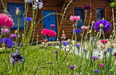 Chata Bławatek Kowary - Foto 31