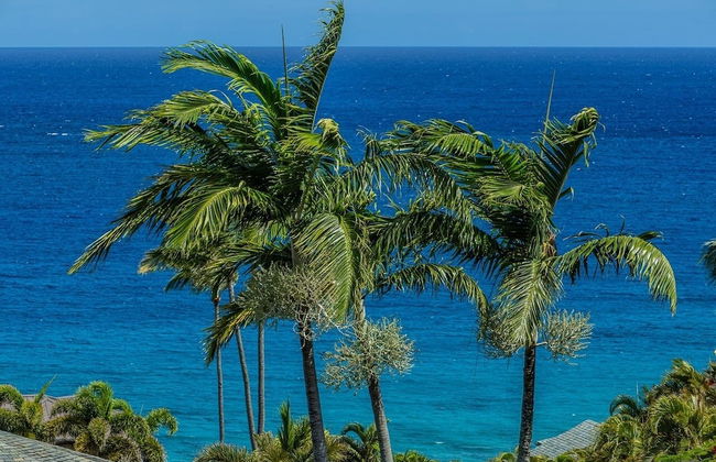 Kapalua Ridge Villas-#2212 2 Bedroom Condo - Foto 31