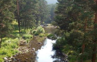 El Leñador I - Photo 23