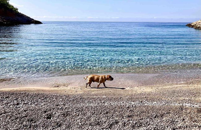 Chios Cozy studio Island Getaway - Foto 38