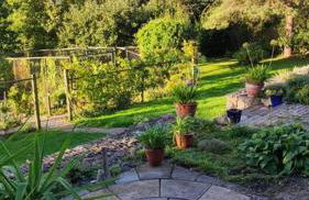 Hide on the Hill Cottage - Foto 18