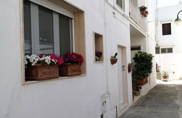 Casa Low Cost - Foto 49