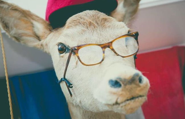 2 Bedroom House Next to the Sea, Lots of Fun! - Photo 32