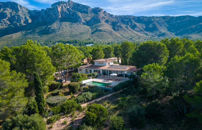 Orquidea 34 - Photo 47