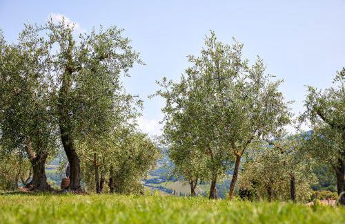 Tenuta il Poggetto - Foto 64