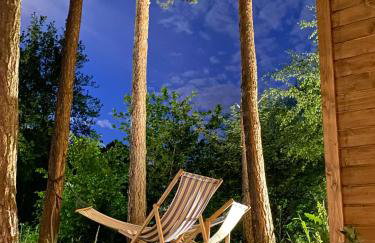 Kajaki wino i śpiew - domek z sauną w otoczeniu lasów i sąsiedztwie zalewu - Foto 9