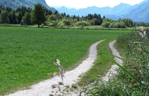 1 - House Rosenegger - Photo 22